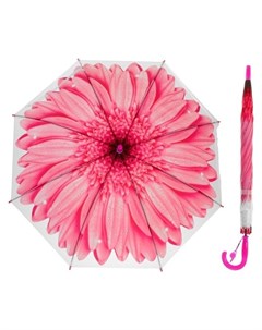 Зонт трость Гербера полуавтоматический со свистком R 41см цвет розовый Nnb