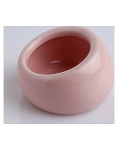 Миска керамическая для грызунов со скошенным краем 30 мл 5 7 х 5 7 х 3 5 см розовая Пижон