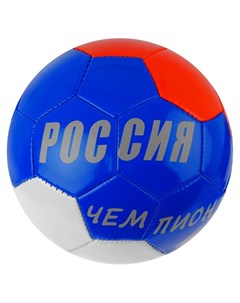 Мяч футбольный Россия чемпион размер 5 Onlitop