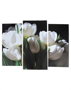 Модульная картина Белые тюльпаны 2 25х52 1 30х60 60х80 см Nnb
