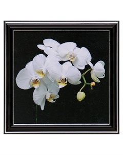 Картина Белая орхидея 18х18 21 5х21 5 см Nnb