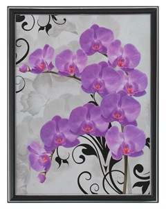 Картина Фиолетовый фаленопсис 33 43 см Nnb