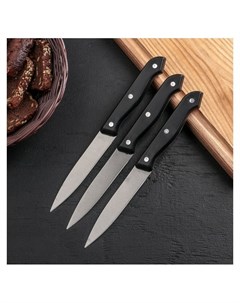 Набор кухонных ножей Ночь 3 предмета цвет чёрный Nnb