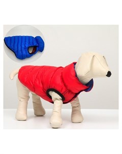 Куртка для собак двухсторонняя с воротником Xs22 ДС 22 ОШ 19 ОГ 34 красная синяя Nnb