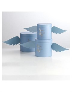 Набор коробок С крыльями голубой 3 в 1 21 5 х 21 5 х 21 5 17 х 17 х 16 5 см Nnb