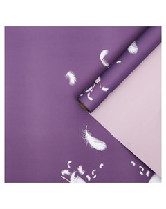 Пленка для цветов Балерина фиолетово серый 0 58 х 10 м Nnb