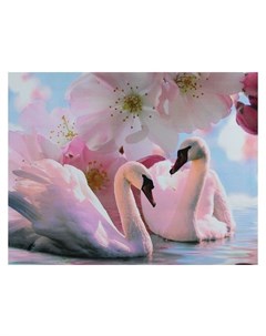 Картина на подрамнике Лебеди под цветами Nnb