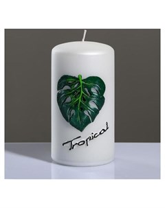 Свеча цилиндр Tropical 7 13 см Poland trend decor candle
