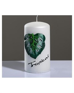 Свеча цилиндр Tropical 6 11 5 см Poland trend decor candle