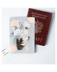 Обложка для паспорта Античность серый Nnb