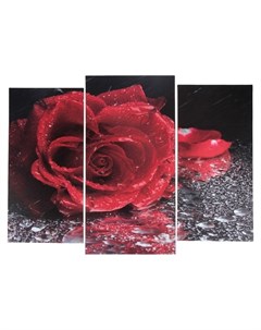 Модульная картина Роза под дождём 2 25х52 1 30х60 60х80 см Nnb