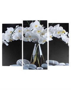 Модульная картина Орхидеи в вазе 2 25х52 1 30х60 60х80 см Nnb