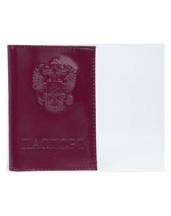 Обложка для паспорта цвет лиловый Nnb