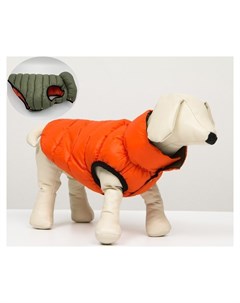 Куртка для собак двухсторонняя с воротником Xs22 ДС 22 ОШ 19 ОГ 34 оранжевая зелёная Nnb
