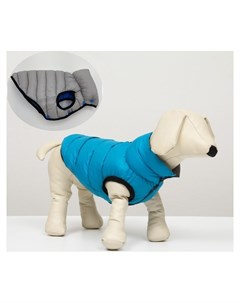 Куртка для собак двухсторонняя с воротником xs22 ДС 22 ОШ 19 ОГ 34 см голубая серая Nnb