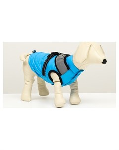 Куртка для собак со светоотражающей шлейкой размер 8 ДС 23 ОГ 30 ОШ 22 голубая Nnb