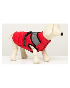 Куртка для собак со светоотражающей шлейкой размер 10 ДС 25 ОГ 34 ОШ 24 розовая Nnb