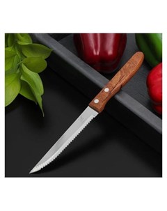 Нож кухонный Эльбрус зубчатое лезвие 11 5 см Nnb