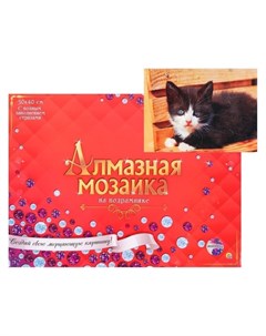 Алмазная мозаика 30 40 см полное заполнение с подрамником Чёрно белый котёнок Рыжий кот (red cat toys)
