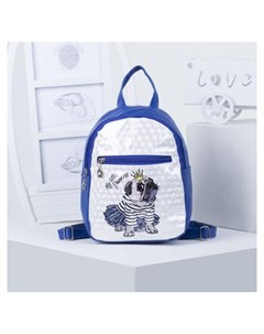 Рюкзак детский для девочки отдел на молнии наружный карман Бульдог Цвет синий белый Nnb