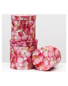 Набор круглых коробок 3 в 1 Нежно розовые цветы 19 5 X 19 15 5 X 15 см Nnb