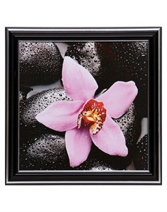 Картина Розовая орхидея 18х18 21 5х21 5 см Nnb