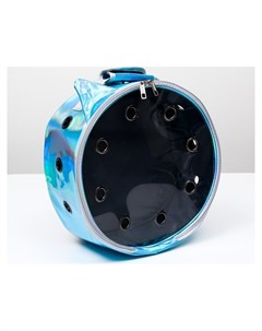 Рюкзак круглый для переноски животных прозрачный 26 см голубой Пижон