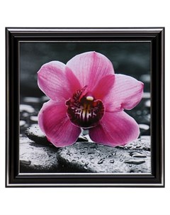 Картина Розовый цветок 18х18 21 5х21 5 см Nnb