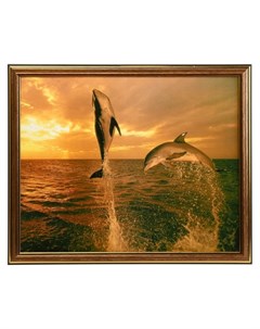 Картина Пара дельфинов 35х28 38 31 см Nnb