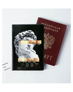 Обложка для паспорта David Nnb