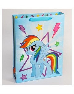 Пакет подарочный My Little Pony Радуга Дэш Hasbro