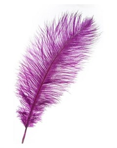 Перо для декора размер 25 30 см цвет фиолетовый Nnb