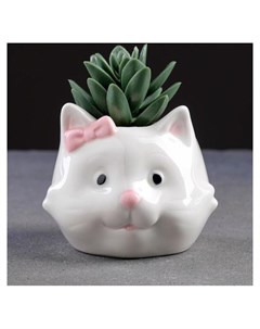 Кашпо керамическое Кошка 10 8см Nnb