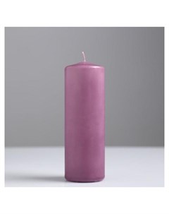 Свеча классическая фиолетовая лакированная 5х15 см Nnb
