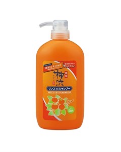 Жидкое мыло для тела антибактериальное хурма и гиалуроновая кислота Kakishibu Body Soap 600 мл Жидко Kumano cosmetics