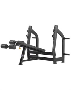 Скамья для жима с отрицательным наклоном H 024 черный Bronze gym