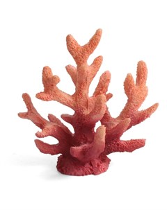 Коралл искусственный Акропора Laguna