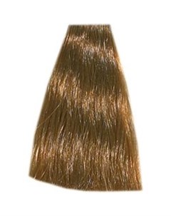 Стойкая крем краска Crema Colorante 8 33 светло русый золотистый интенсивный 100 мл Hair company professional