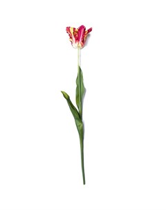 Искусственные цветы Тюльпан Silk-ka