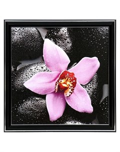 Картина Розовая орхидея 25х25 28х28 см Nnb