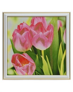 Картина Розовые тюльпаны 25х25 28х28 см Nnb