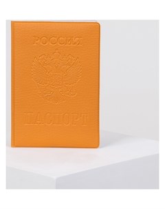 Обложка для паспорта цвет оранжевый Nnb