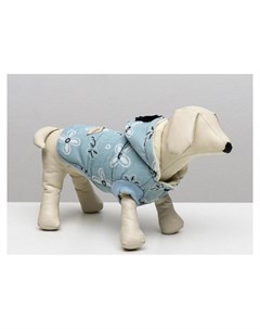 Куртка для собак с цветами XL ДС 35 см ОШ 32 см ОГ 49 см голубая Nnb