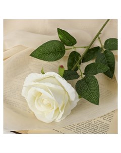 Цветы искусственные Роза боливийская 7 5х55 см белый Nnb