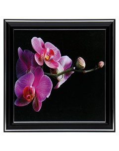 Картина Орхидея 18х18 21х21 см Nnb