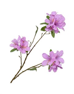 Искусственные цветы Рододендрон Silk-ka