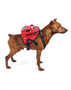 MINI DOGS Рюкзак шлейка для собак мелких Автобус S Триол