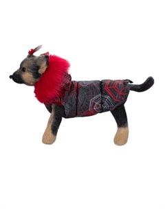 Аляска Паутинка Куртка для собак девочка 3 Dogmoda