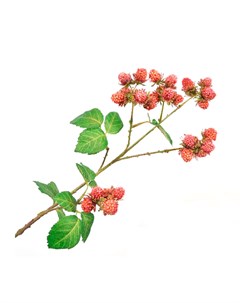 Искусственные цветы Ветка шелковицы с ягодами 78см Silk-ka