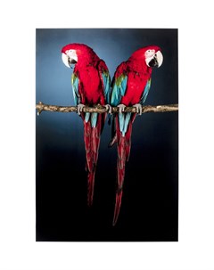 Картина parrots мультиколор 80x120 см Kare